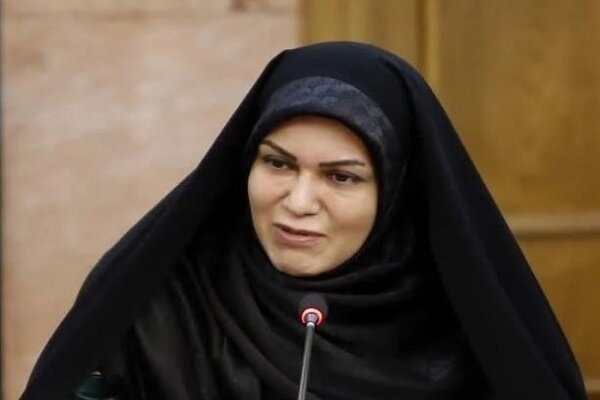 خدادادی: کاهش بودجه فرهنگ  باعث تضعیف نفوذ نرم بین‌المللی خواهد شد