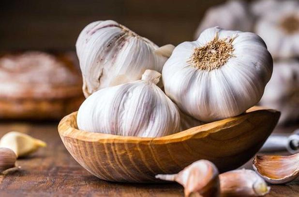 افزایش ۶۵ درصدی صادرات سیر/ روسیه مقصد نخست صادرات سیر خشک