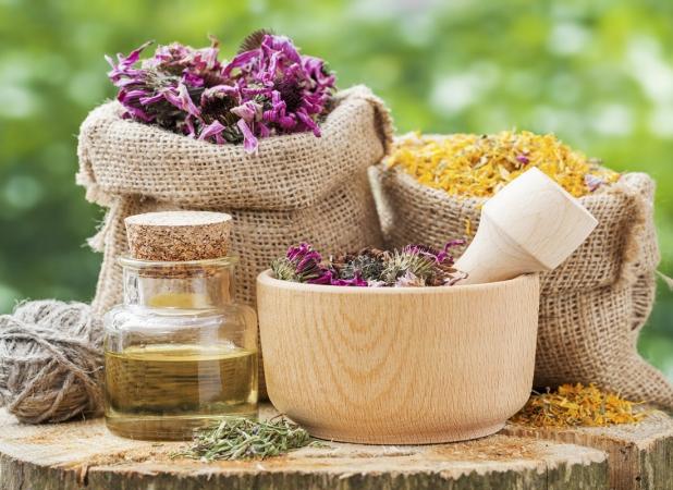 نسخه گیاهی برای ریزش مو؛ آیا واقعاً موثرند؟