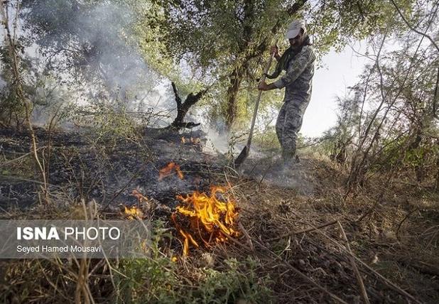 آتش‌سوزی سطحی در ۲۰ هکتار از جنگل های گیلان در سال جاری