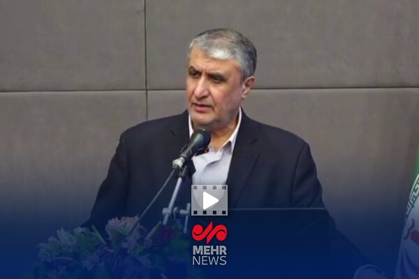 رئیس سازمان انرژی اتمی: پیشرفت نباید انحصاری باشد