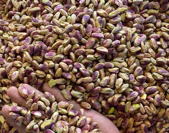 رفسنجان در آستانه تغییر الگوی صادراتی پسته