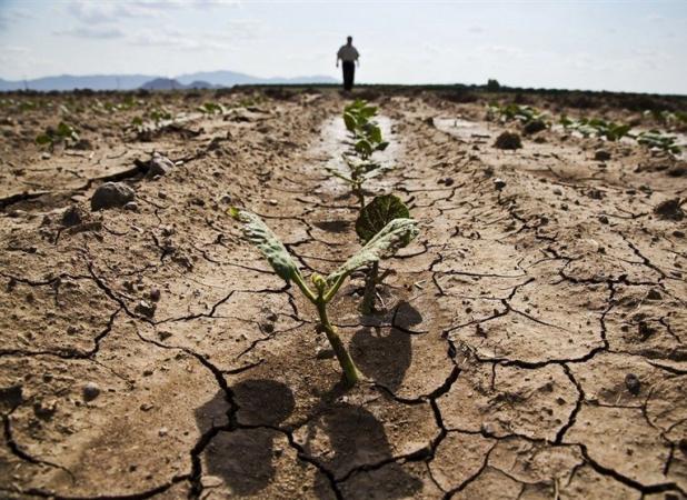پیش‌بینی گرمای سال ۲۱۰۰، الان در حال تحقق است/تبخیر سالی یک متر از ارتفاع آب دریاچه ارومیه