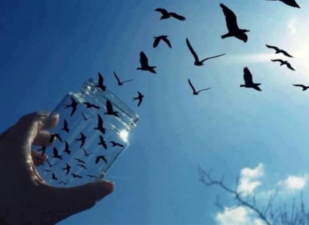 تابش نور خورشید هشتم گرمابخش زندگی زندانیان