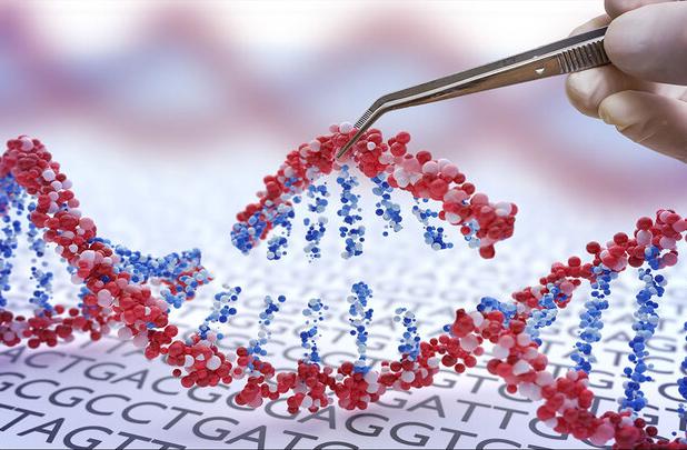 امکان طراحی و ساخت انواع نانوکارخانه‌ها با مهندسی DNA