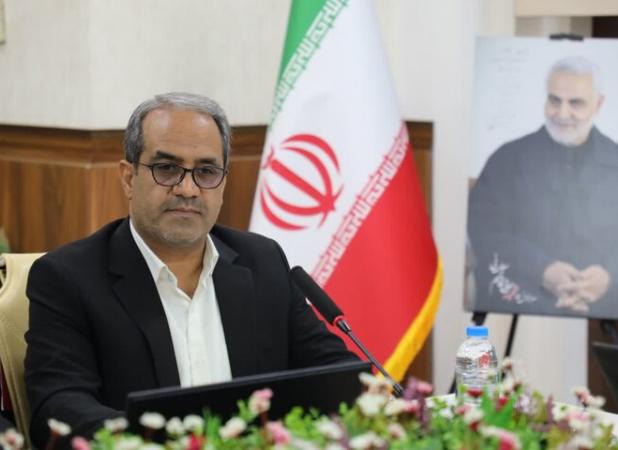 قویدل: ۷۴ درصد از سارقان در کرمان زیر دیپلم هستند