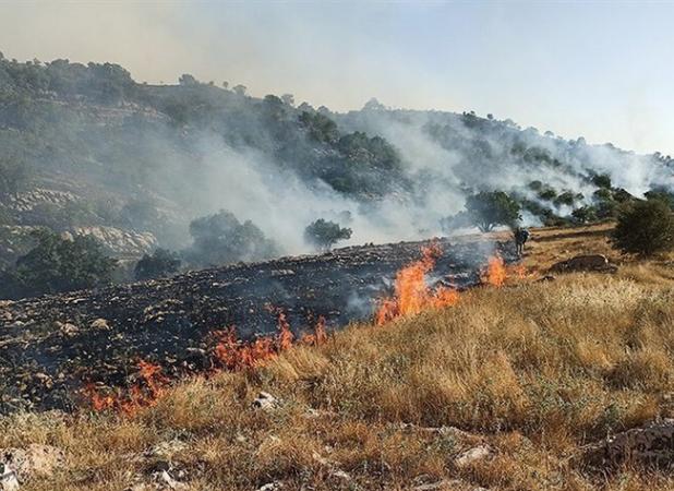 هشدار منابع طبیعی گلستان درباره افزایش خطر آتش‌سوزی در جنگل‌ها و مراتع