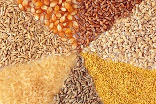 ظرفیت ایران در صنایع غذایی بدون استفاده مانده است