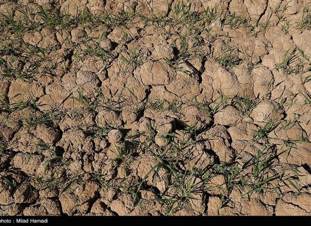 ایران زیر فشار بی آبی؛نجات از بحران با صرفه جویی ۱۵ درصدی خانوار