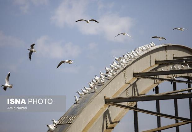 دمای خوزستان افزایش می‌یابد