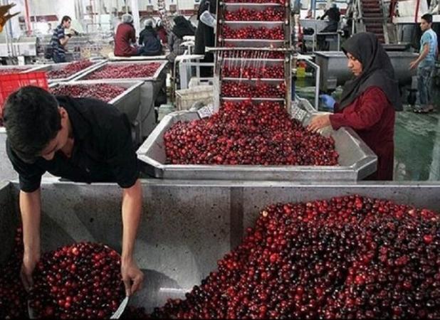 ضرورت احداث سردخانه و کارخانه صنایع تبدیلی در نهاوند