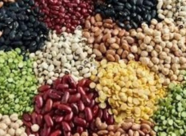 چرا تورم حبوبات از ۶۰ درصد عبور کرد؟/ارز ترجیحی برای پالم و شکلات، ارز توافقی برای حبوبات