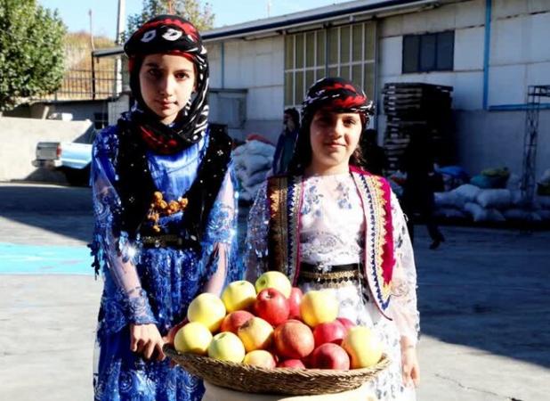 جشنواره سیب بروجرد برگزار شد