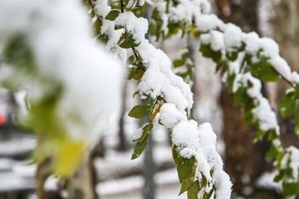 بارش برف در ارتفاعات و روستاهای اطراف کاشان