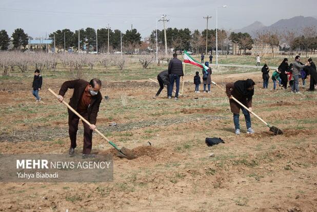 کاشت پنج هزار نهال در قالب پویش «در سایه مادر» در کرمانشاه