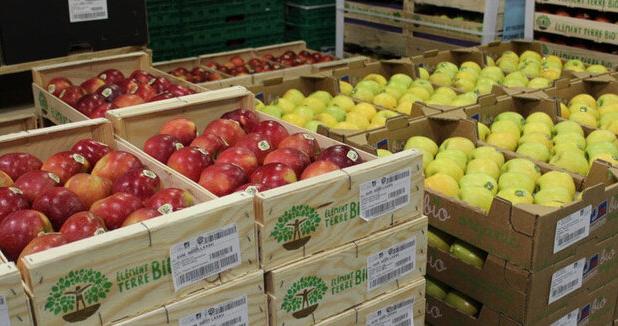 افزایش ۴۵ درصدی صادرات از گمرک خسروی