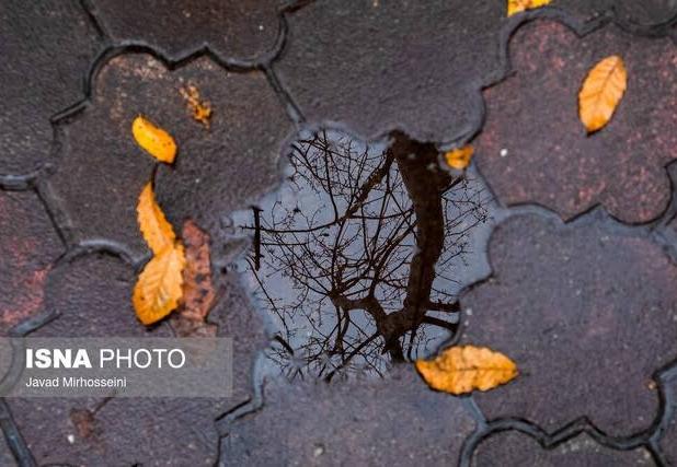 آغاز بارش‌ها در کردستان از نیمه آذر