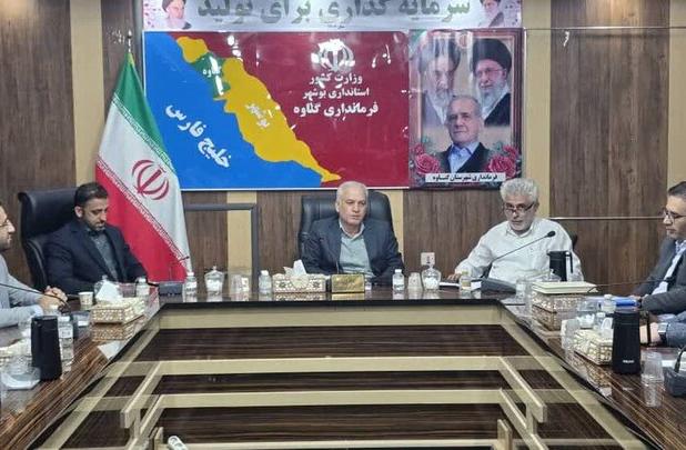 گناوه قابلیت داشتن فرودگاه را دارد