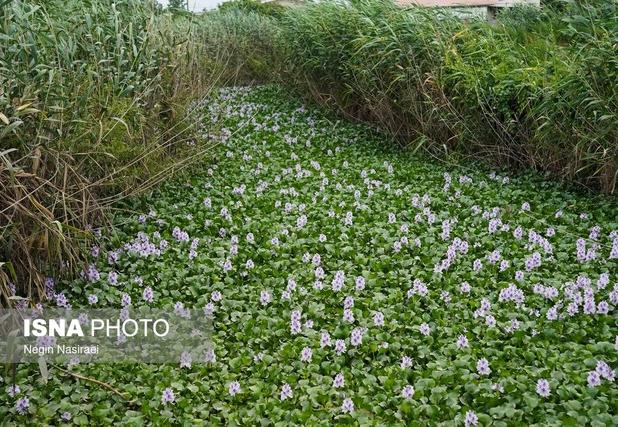 برزخ بلاتکلیفی یک ماهه برای پیمانکار آب‌بندان آغوزبن بابل