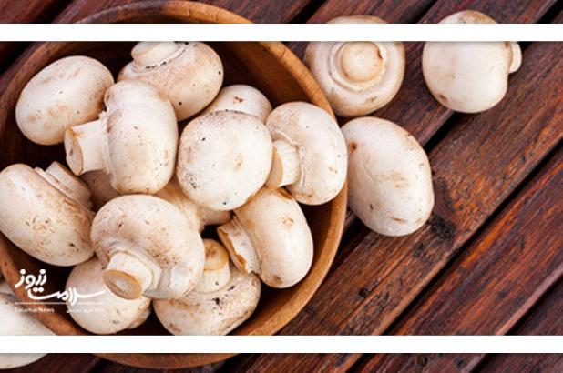 قارچ‌ها؛ دوست قلب شما؟ فواید تازه برای سلامت قلبی-متابولیک