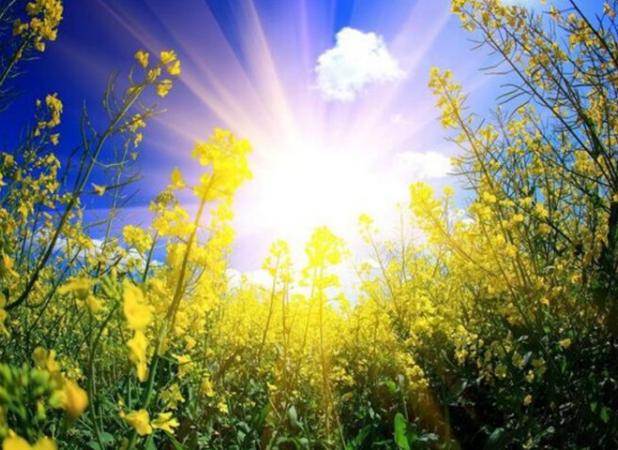دمای هوای آذربایجان شرقی تا اواخر هفته آینده به صورت نسبی کاهش می یابد