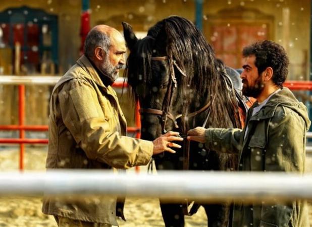 ماجرای اختلال در اکران «ناتور دشت» چه بود؟