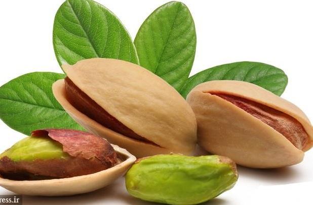زمان راه اندازی قرارداد آتی پسته بادامی توسط بورس کالا اعلام شد