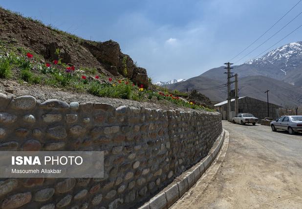 لزوم رعایت الزامات نظام مهندسی و کنترل ساختمان توسط ناظران نظام فنی روستایی در زنجان