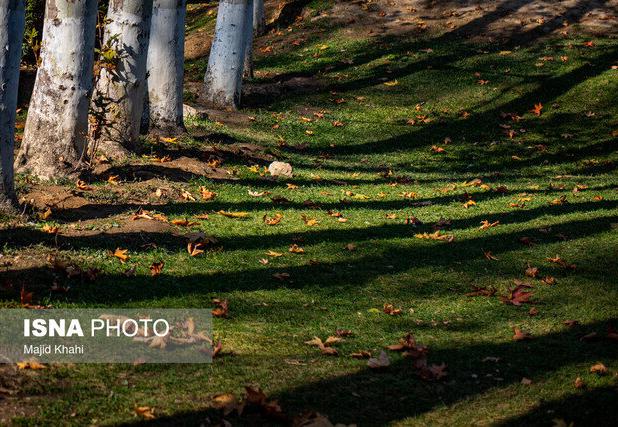 استقرار جو آرام و پایدار در آسمان قم/ کاهش دمای هوا از روز دوشنبه
