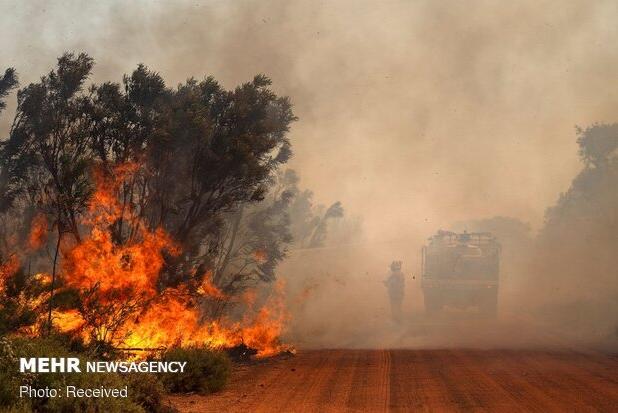 تهدید گسترش آتش سوزی جنگلی باعث تخلیه شهر شمالی استرالیا شد