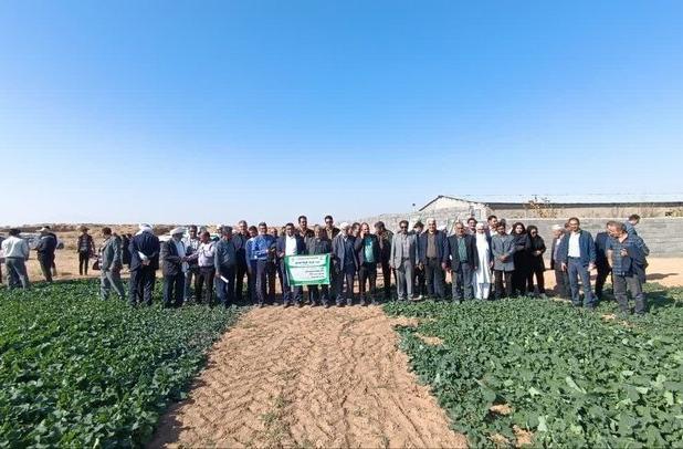 هشتمین کاروان ترویجی جهاد کشاورزی در تربت جام برگزار شد