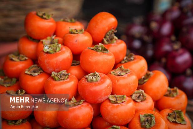 افزایش ۱۸ درصدی تولید خرمالو در بیضای فارس