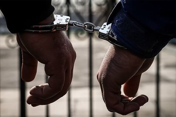 انهدام باند سارقان احشام در خراسان جنوبی؛ کشف ۹۰ فقره سرقت