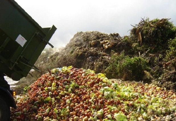 ضایعات کشاورزی؛ فرصتی مغفول برای تولید محصولات با ارزش افزوده