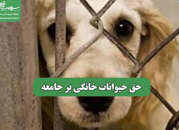 حق حیوانات خانگی بر جامعه
