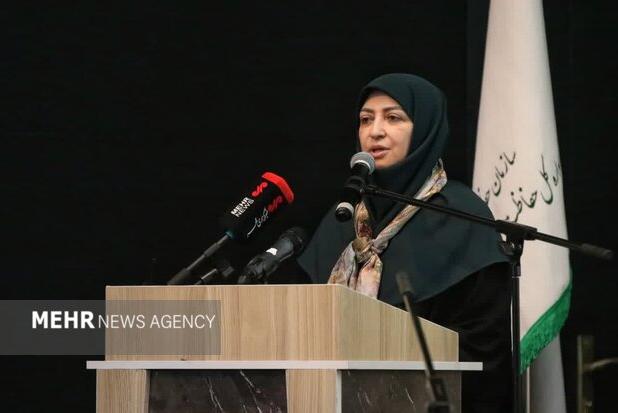 انصاری: حفاظت از محیط زیست وظیفه همگانی است