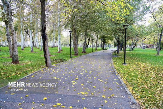 هوای مشهد سالم است