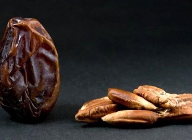 هسته این گیاه منبع پیشگیری از دیابت و سرطان است