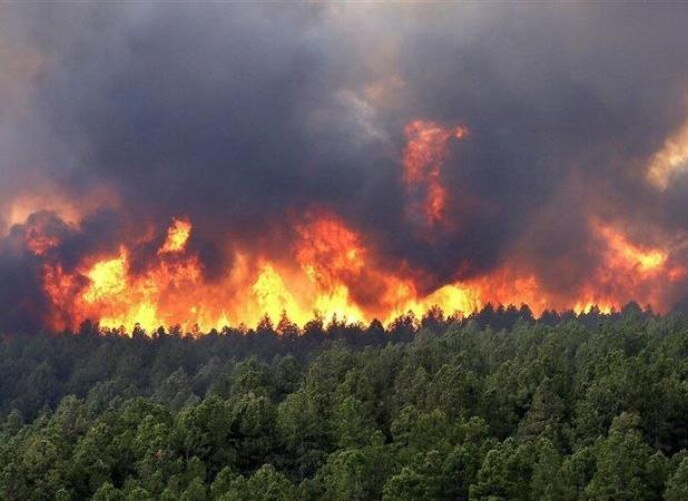 گزارش کمیسیون شوراها؛ نقش عامل انسانی در حریق جنگل‌های هیرکانی