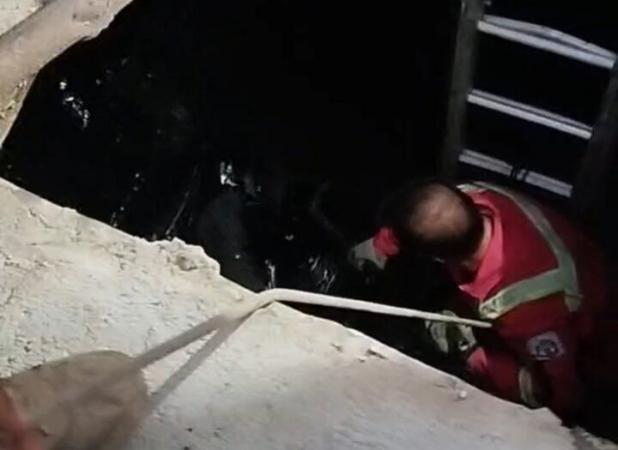 سقوط مرگبار نگهبان به داخل مخزن قیر در کارخانه آسفالت قروه