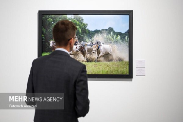 دوازدهمین مسابقه بین‌المللی عکاسی خبری آندری استنین آغاز شد