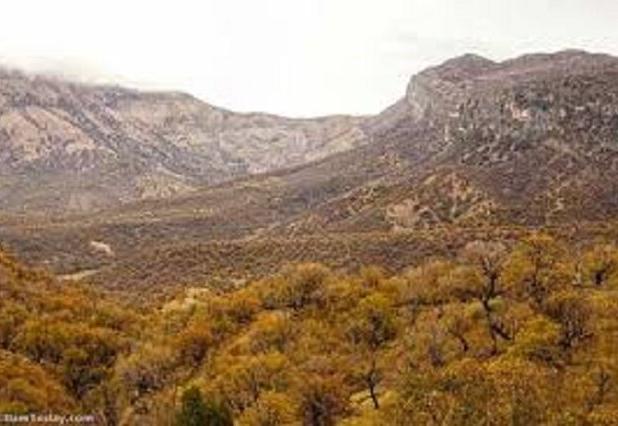 «مانشت و قلارنگ» زیست‌بوم طبیعت وحشی زاگرس در ایلام