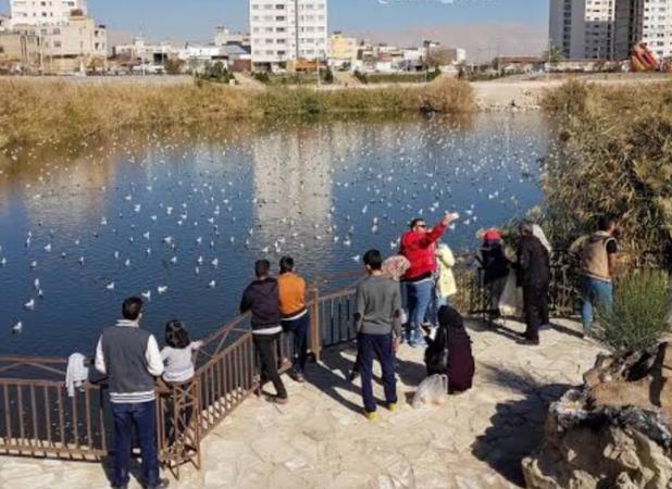 آبگیر پارک فروزان شیراز از خطر سگ ولگرد و موش پاکسازی شد
