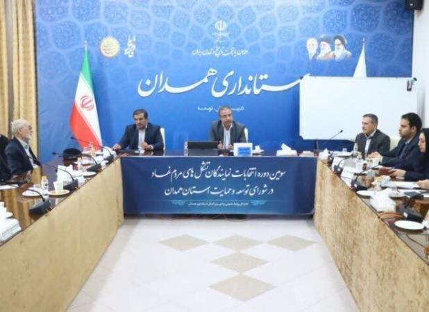 امرایی: سمن‌ها بازوی توانمند حل مسائل اجتماعی هستند