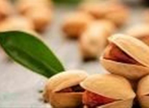 صادرات پسته به ۳۵۲ میلیون دلار رسیده است