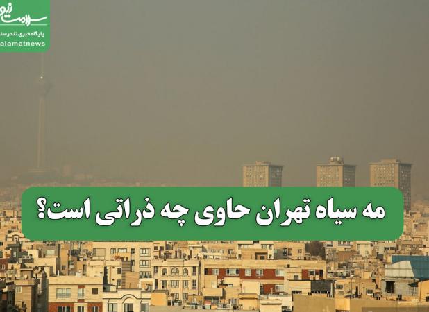 مه سیاه تهران حاوی چه ذراتی است؟