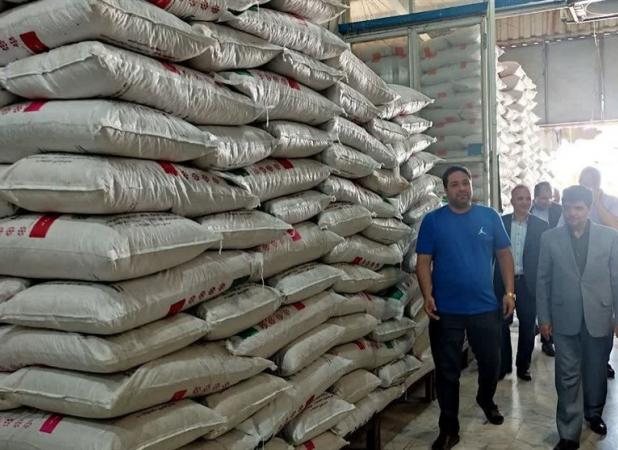 واکاوی گرانی برنج/ فشار برخی نمایندگان برای توقف واردات