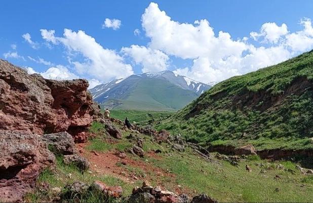 کاندیداهای ریاست جمهوری به موضوع گردشگری بپردازند