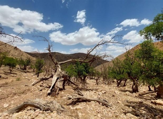 شمال تا جنوب ایران درگیر پیامدهای تغییر اقلیم است