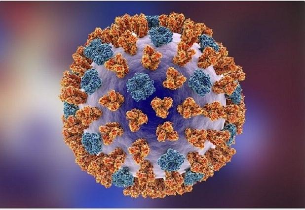 فوت ۶ نفر بر اثر ابتلا به آنفلوآنزا در فارس/ سیستم درمان فعلاً تحت فشار نیست